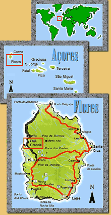 Localiza��o