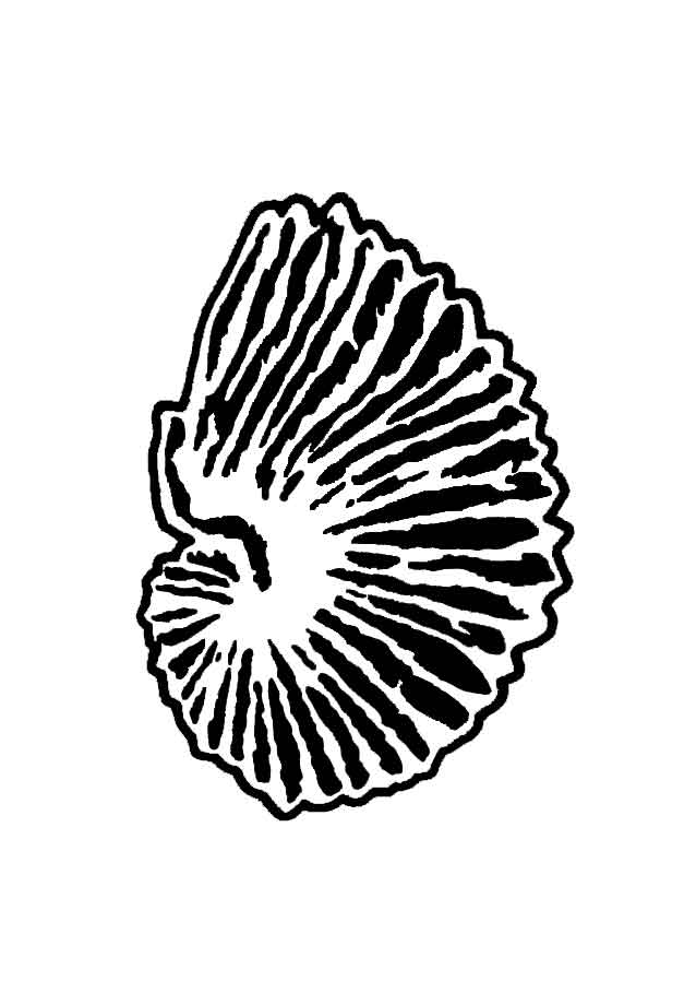 logo-Argonauta-bw.jpg